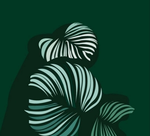 Delphine CARKA Lyon, 