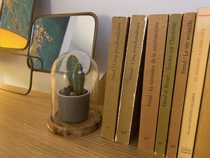 Patrizia BETTONI Toulouse, 